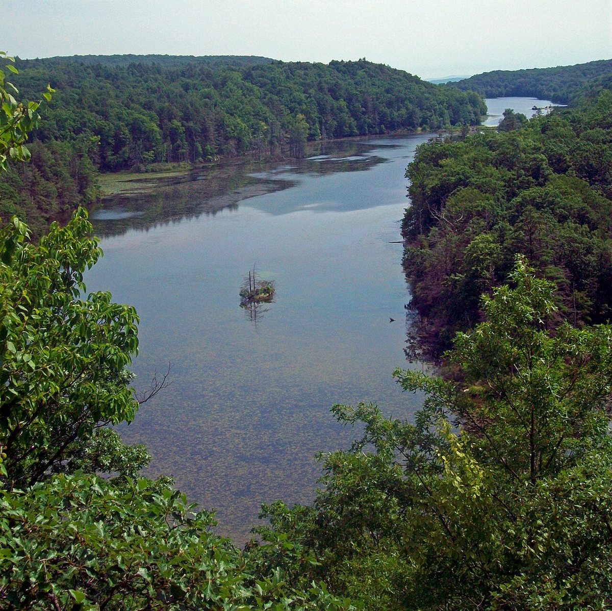Canopus Lake surrounded by forest at Fahnestock State Park