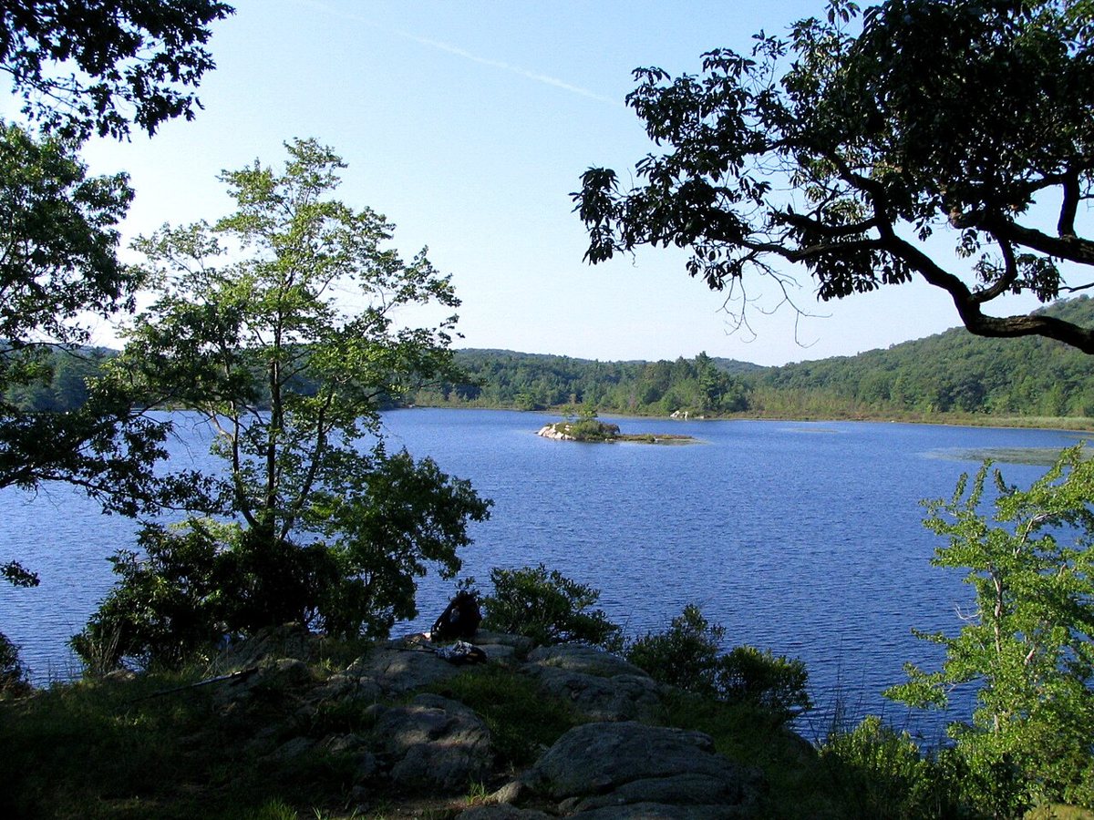 A wooded trail beside a lake in Harriman State Park