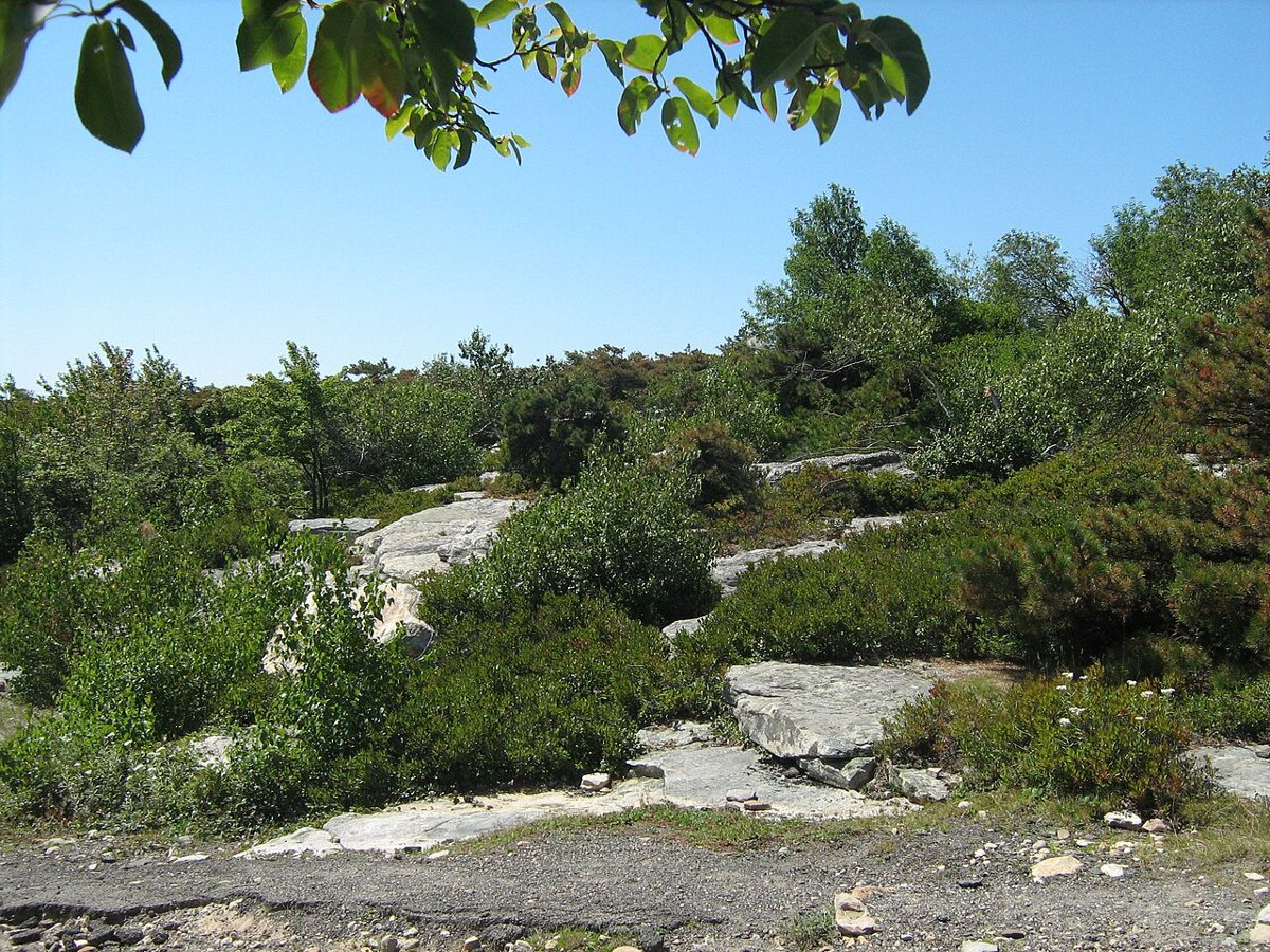 A view from the exposed ridge at Sam's Point Preserve over the Hudson Valley