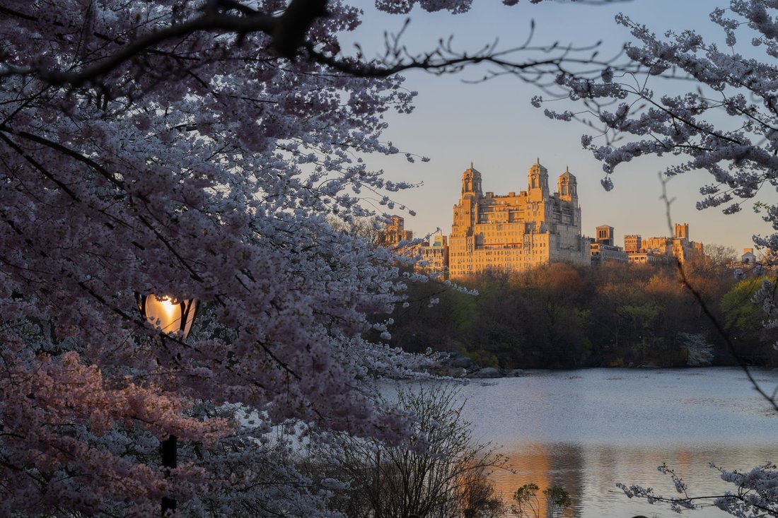 spring things to do in new york