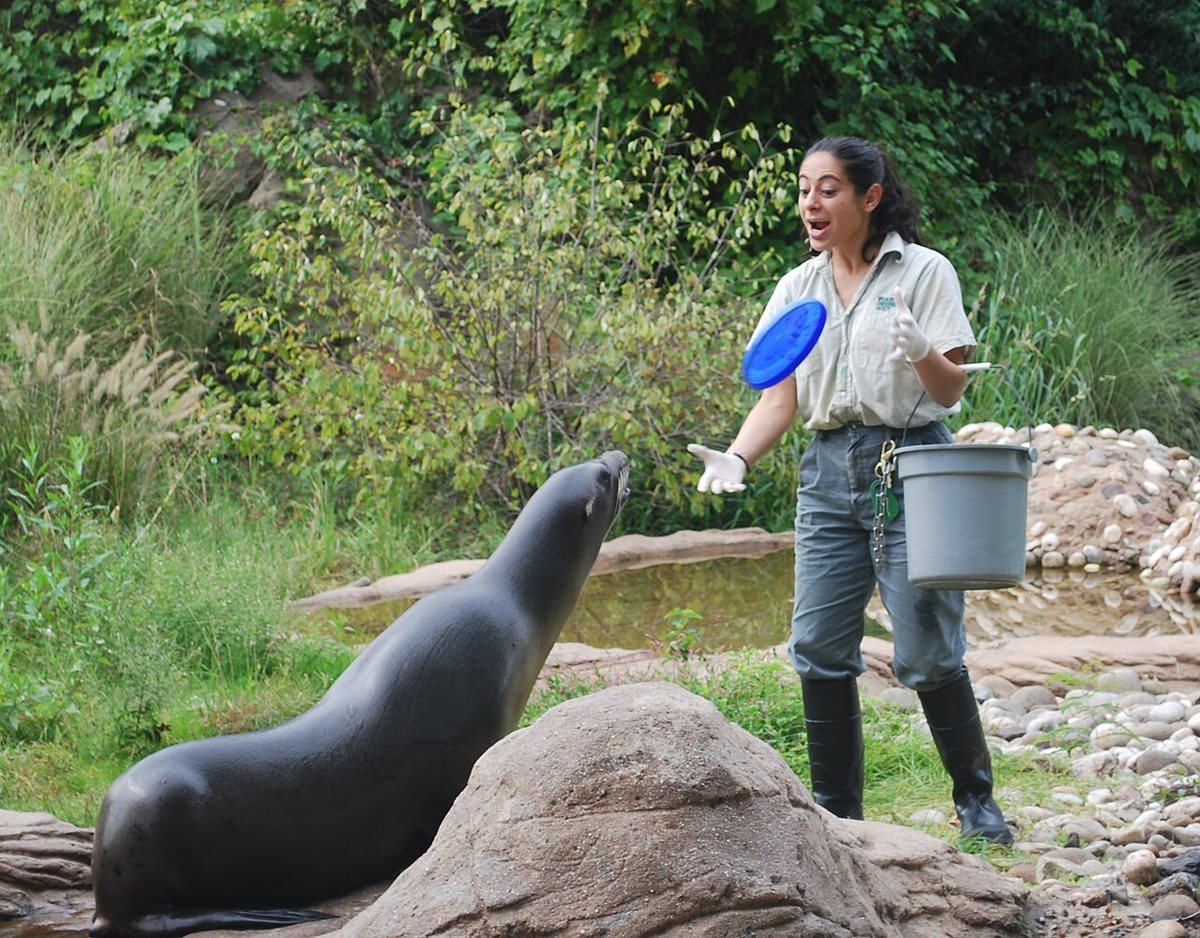 Visitors walking through the Bronx Zoo in New York on a summer day